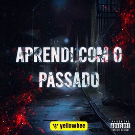 Album cover of Aprendi com o passado