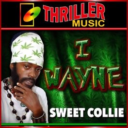 Album cover of Sweet Collie