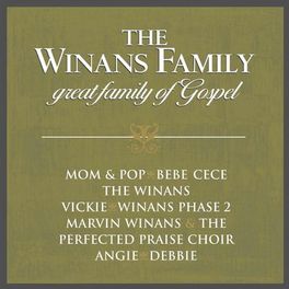 Album cover of Great Family Of Gospel