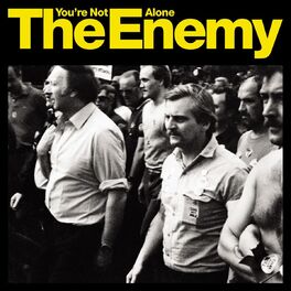 Album cover of You're Not Alone (1 track DMD)