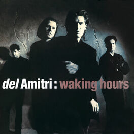 Album cover of Waking Hours (Re-Presents)