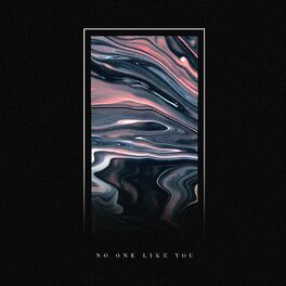 Album cover of No One Like You