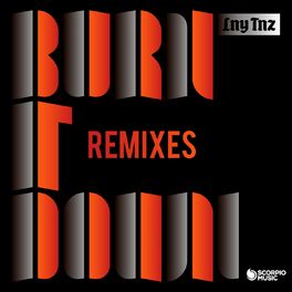Album cover of Burn It Down (Remixes)