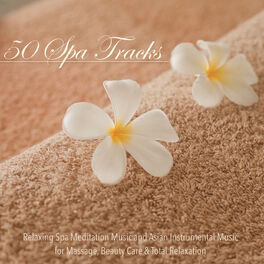 Album cover of 50 Spa Tracks - Relaxing Spa Meditation Music and Asian Instrumental Music for Massage, Beauty Care & Total Relaxation