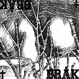 Album cover of Bråk