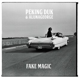 Album cover of Fake Magic