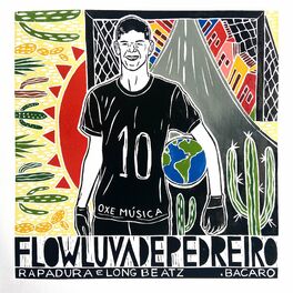 Album cover of Flow Luva de Pedreiro