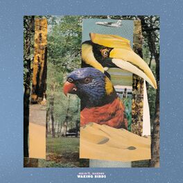 Album cover of Waking Birds