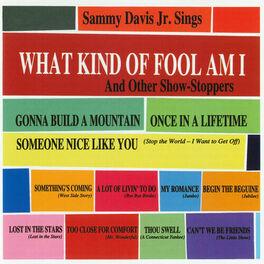 Album cover of What Kind Of Fool Am I & Other Show Stoppers