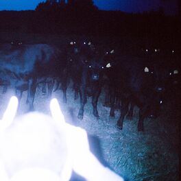 Album cover of Endless Night