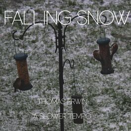 Album cover of Falling Snow