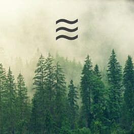 Album cover of Sonidos forestales para la meditación
