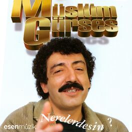 Album picture of Nerelerdesin?
