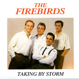 Album cover of Taking by Storm