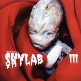 Album cover of Skylab III