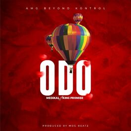 Album cover of Odo