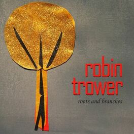 Album cover of Roots and Branches