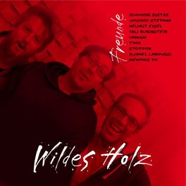 Album cover of Freunde