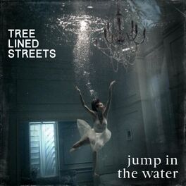 Album cover of Jump in the water