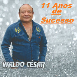 Album cover of 11 anos De Sucesso