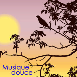 Album cover of Musique douce – Musique anti-stress et calme pour détente et yoga