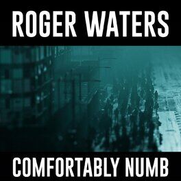 Album cover of Comfortably Numb 2022