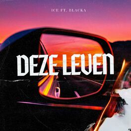 Album cover of Deze Leven