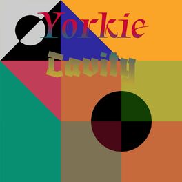 Album cover of Yorkie Cavity