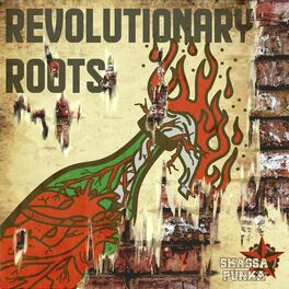 Album picture of Revolutionary Roots