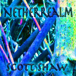 Album cover of Netherrealm