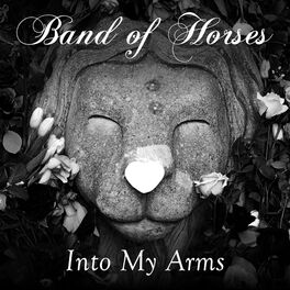 Album cover of Into My Arms