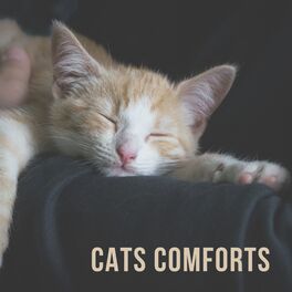 Album cover of Cats Comforts