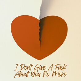 Album cover of I Don't Give A Fuck About You No More