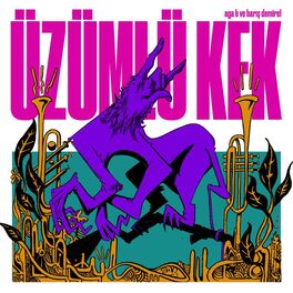 Album cover of Üzümlü Kek