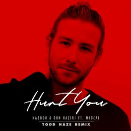 Album cover of Hurt You (feat. Miceal)