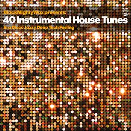 Album cover of 40 Instrumental House Tunes (In a Disco Jazzy DeepTech Feeling)