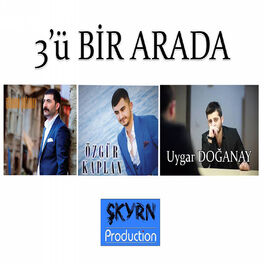 Album cover of 3'ü Bir Arada