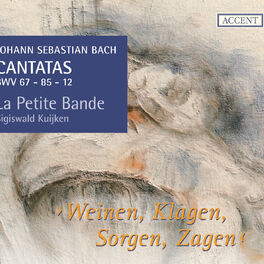 Album cover of Bach: Cantatas, Vol. 11