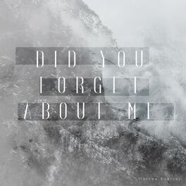 Album cover of Did You Forget About Me