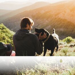 Album cover of La meilleure musique relaxante pour les chiens anxieux! Sons de la montagne