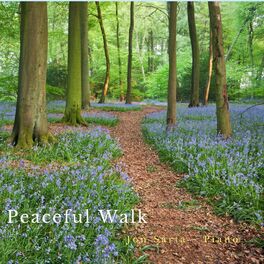 Album cover of Peaceful Walk