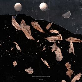 Album cover of Leaves