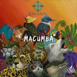Album cover of Macumba