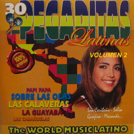 Album cover of Pegaditas Latinas Volumen 2