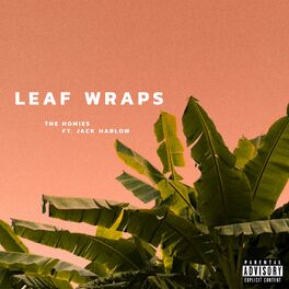 Album cover of Leaf Wraps