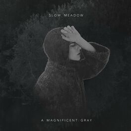 Album cover of A Magnificent Gray