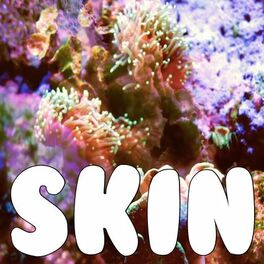 Album cover of Skin (Tribute to Rag 'n' Bone Man)