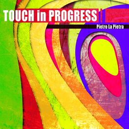 Album picture of Touch In Progress