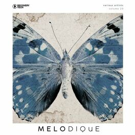 Album cover of Melodique Vol. 23