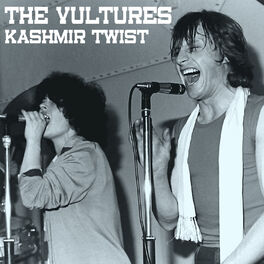 Album cover of Kashmir Twist